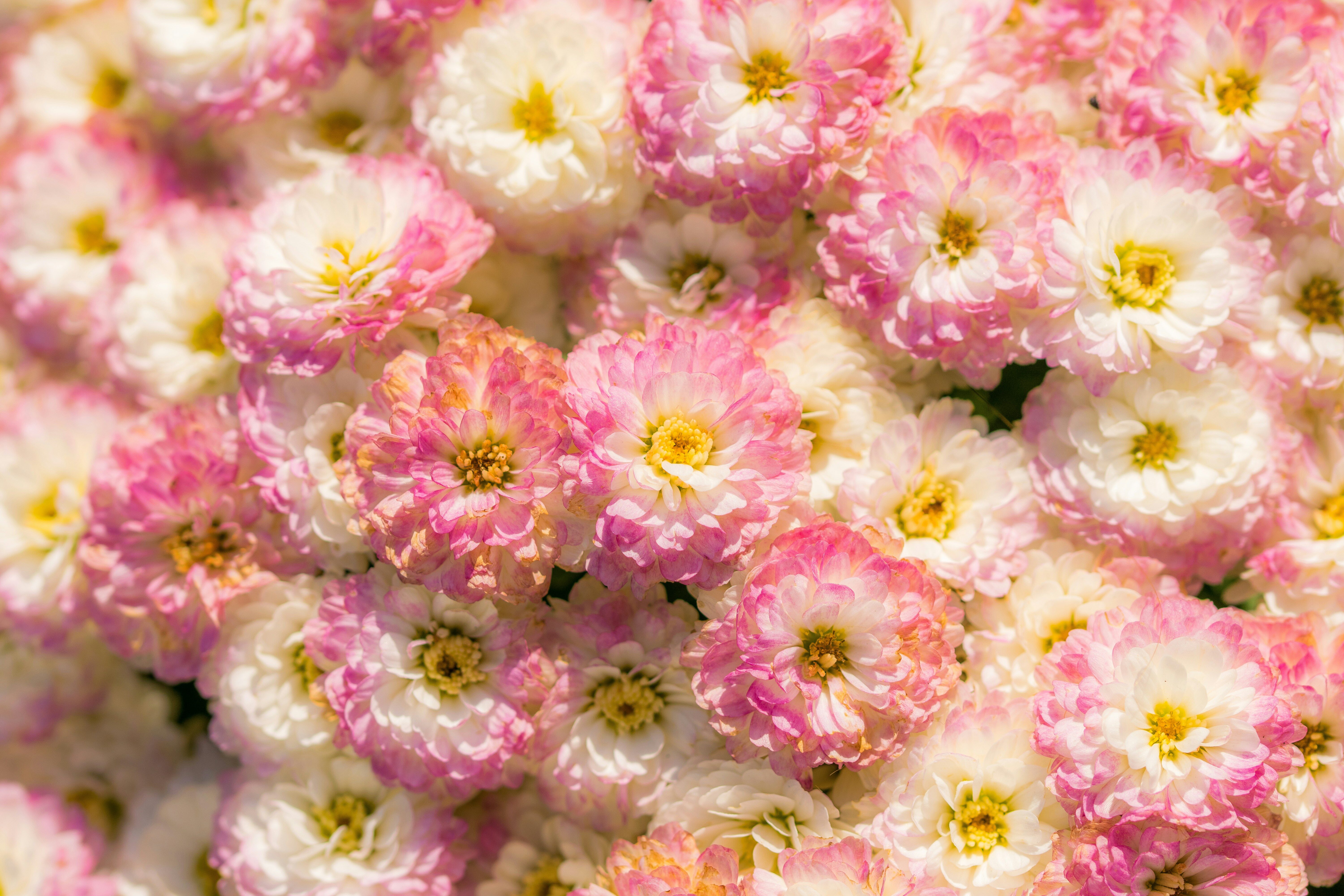 Síla pochvaly: Proč má smysl ocenit druhé i sebe?